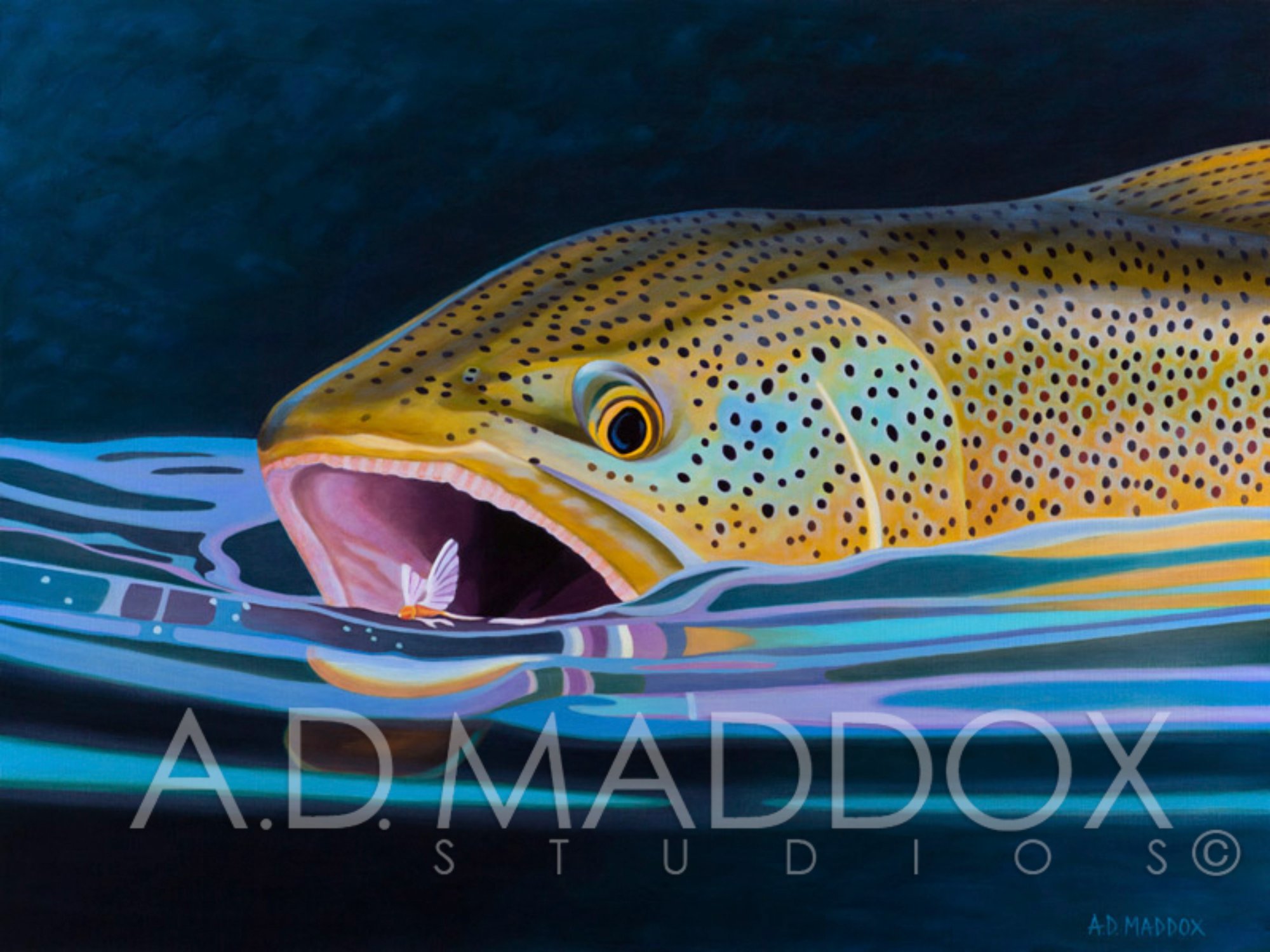 AD-fish.jpg?fit=2000,1500&ssl=1