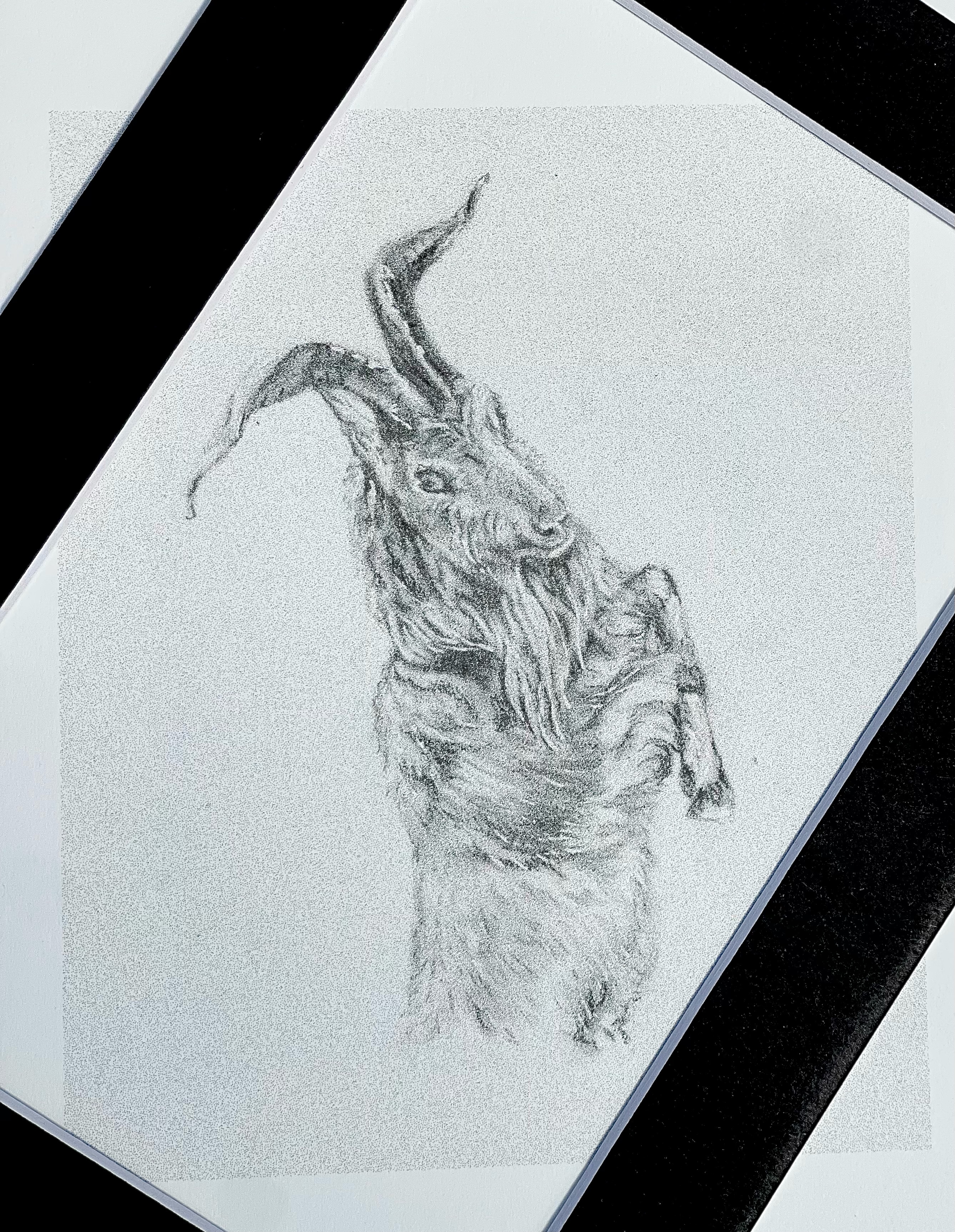 Formidable Montana limited print