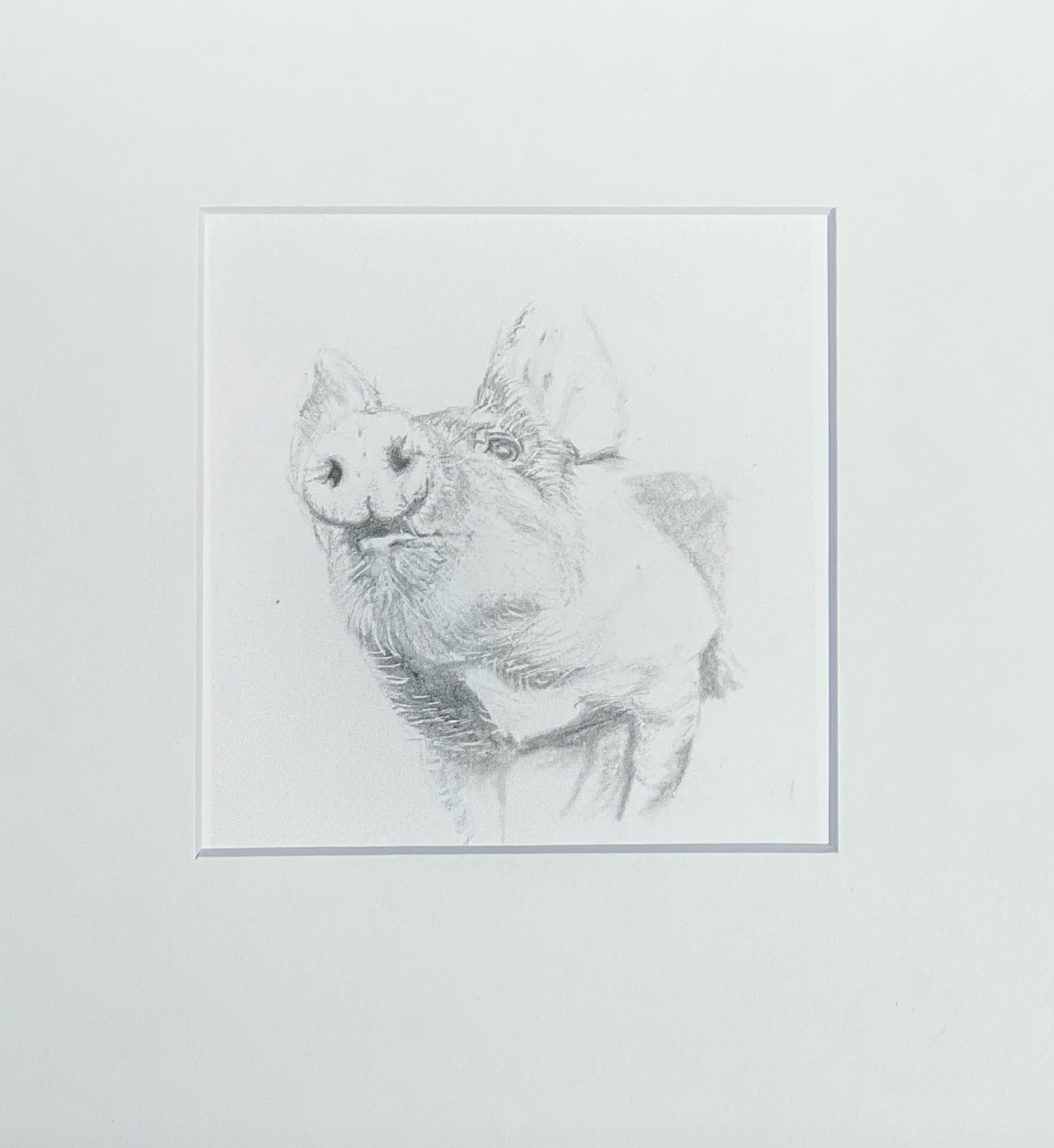 Brilliant Bits limited print