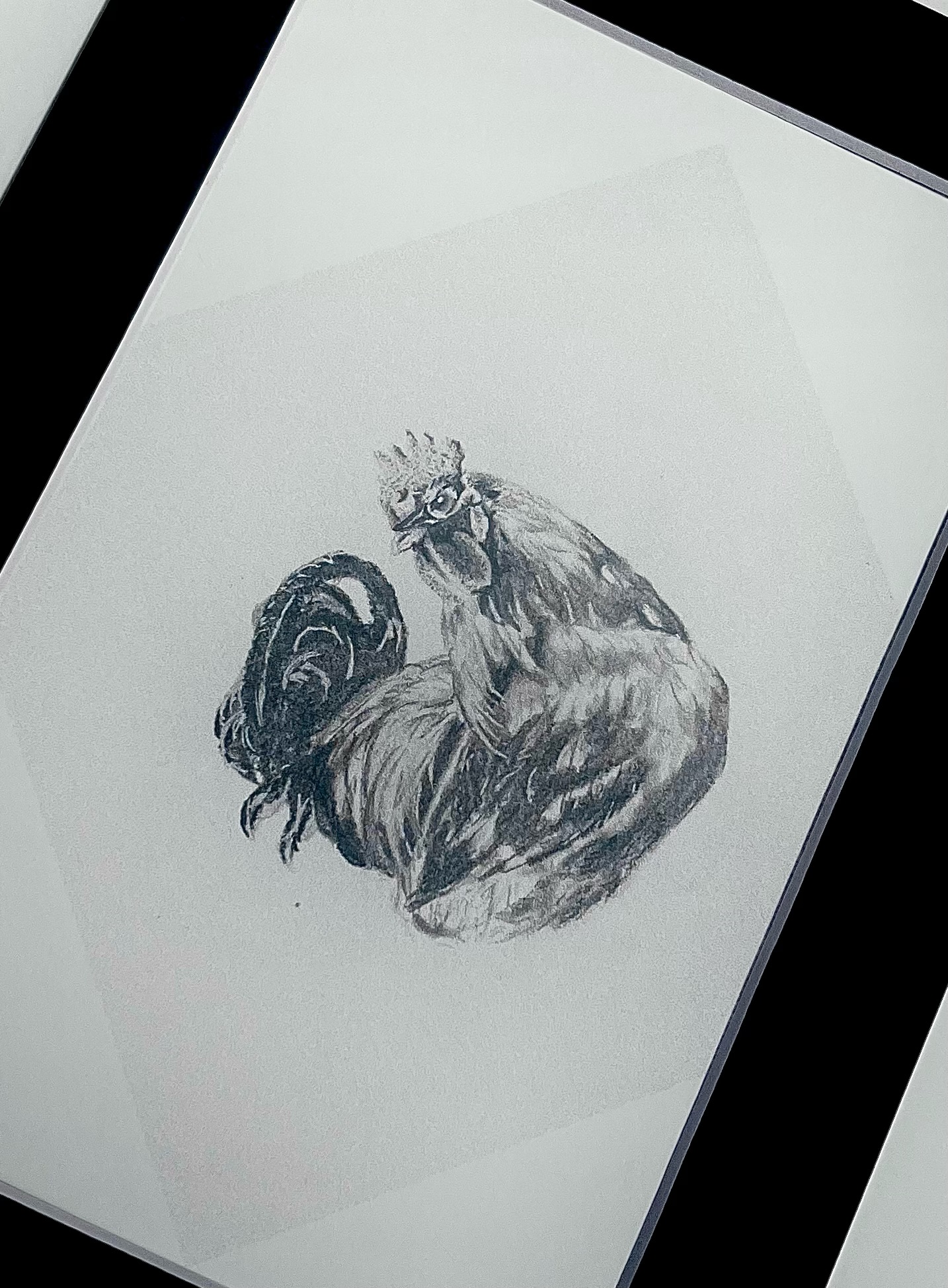 Regal Rooster embellished print Mountain Maiden