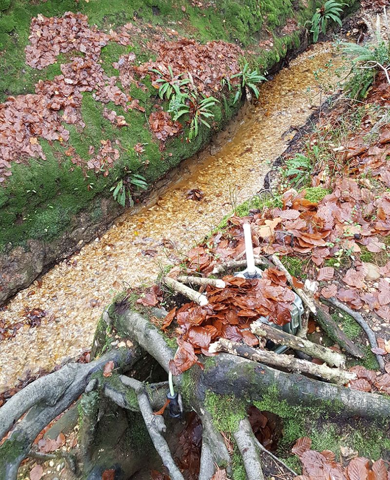 New Forest Test Bed Mountain Sensing - Best City Patterns in HD