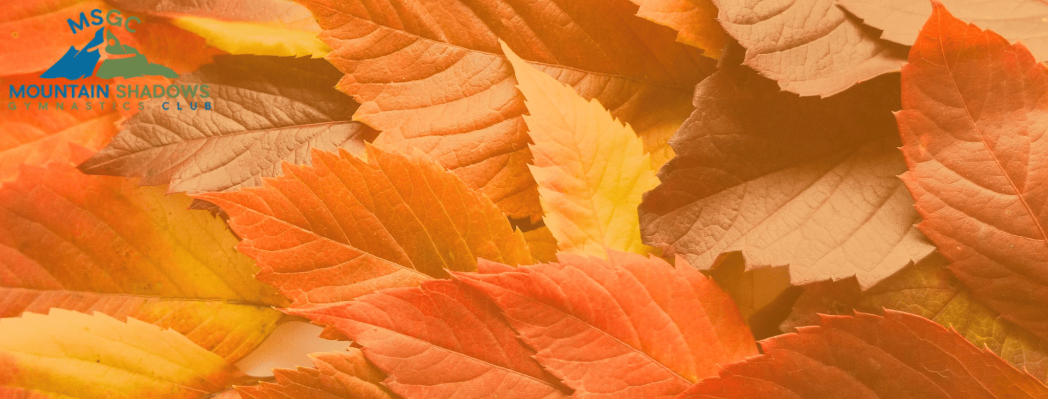 MSGC Fall