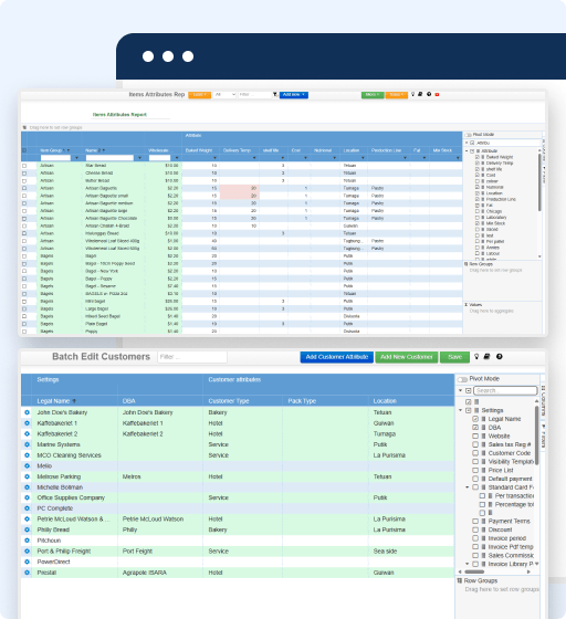 Una captura de pantalla de un panel de control de software muestra tablas de atributos de artículos y edición de clientes por lotes, con campos de datos, casillas de verificación, opciones de clasificación y filtrado, todo ello dentro de una interfaz azul y blanca que destaca una estructura de datos flexible.
