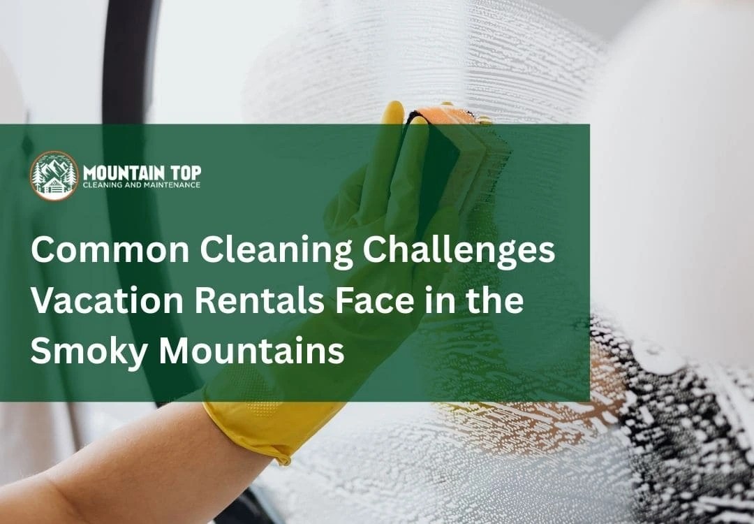cabin cleaning challenges