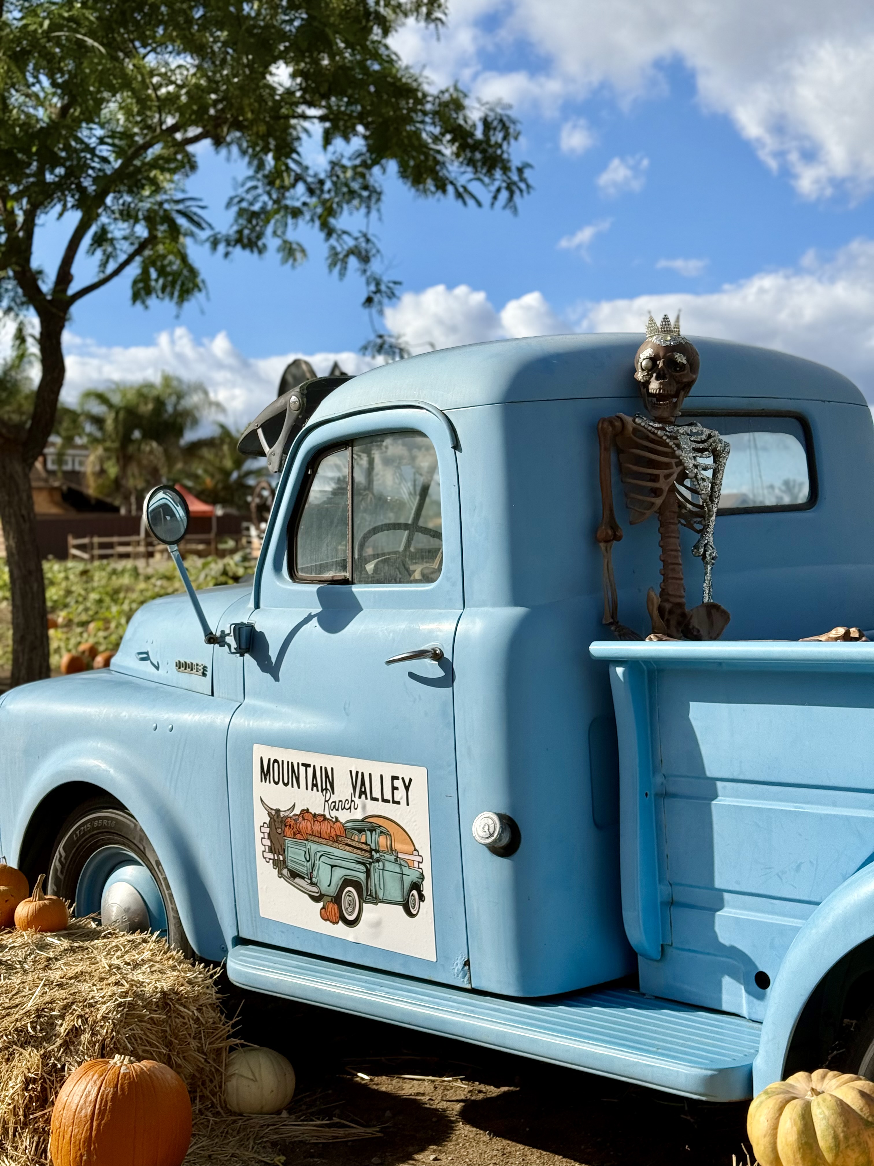 Pumpkin Patch - Mountain Valley Ranch, photo 3 of 5