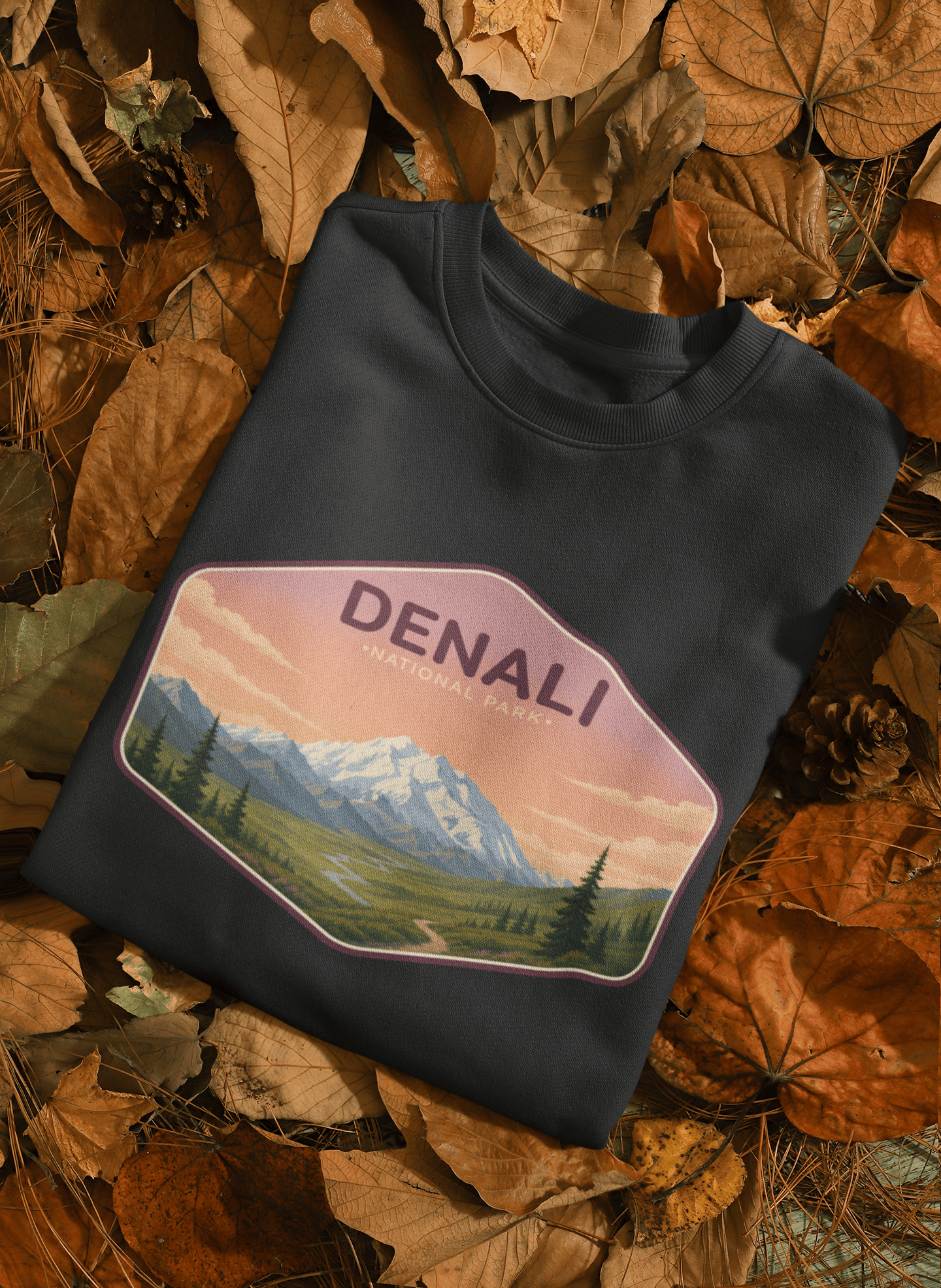 Denali US National Park Shirts