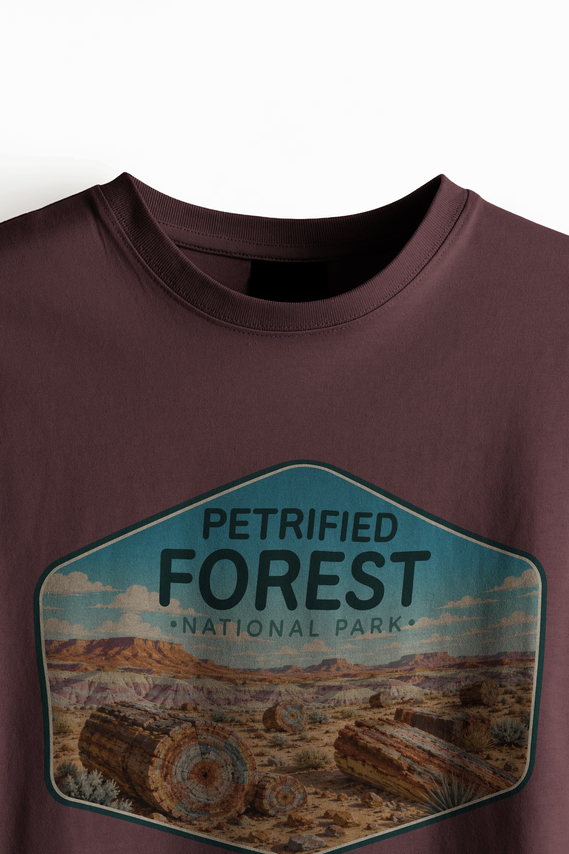 Petrified Forest US National Park Shirts