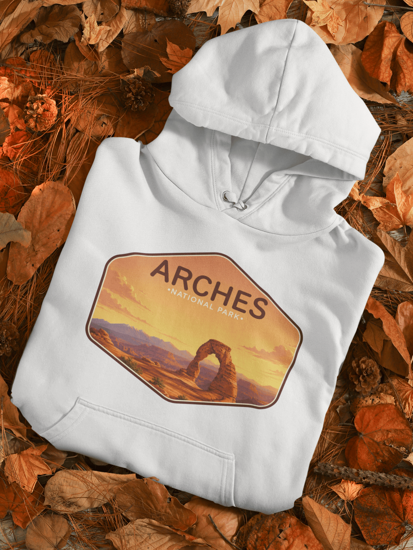 Arches US National Park Shirts