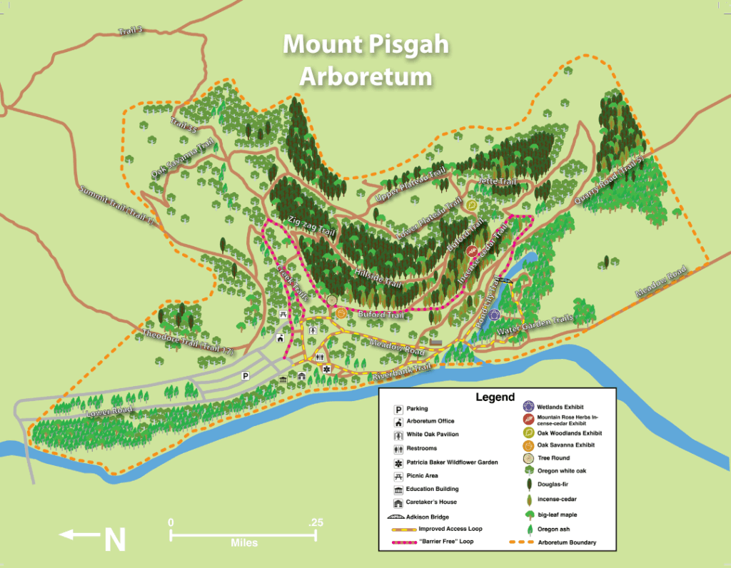 Trails Mount Pisgah Arboretum EN Trail Map 2024.pdf 1024x796 