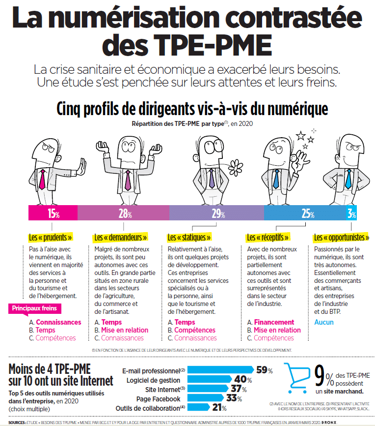 La Numérisation Contrastée Des Tpe Pme