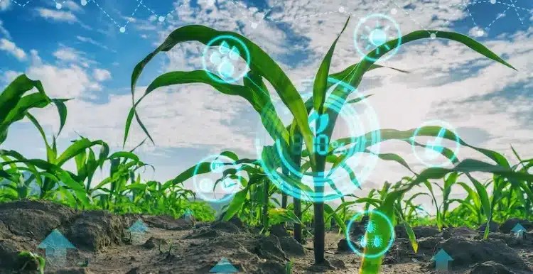 agriculture numerique