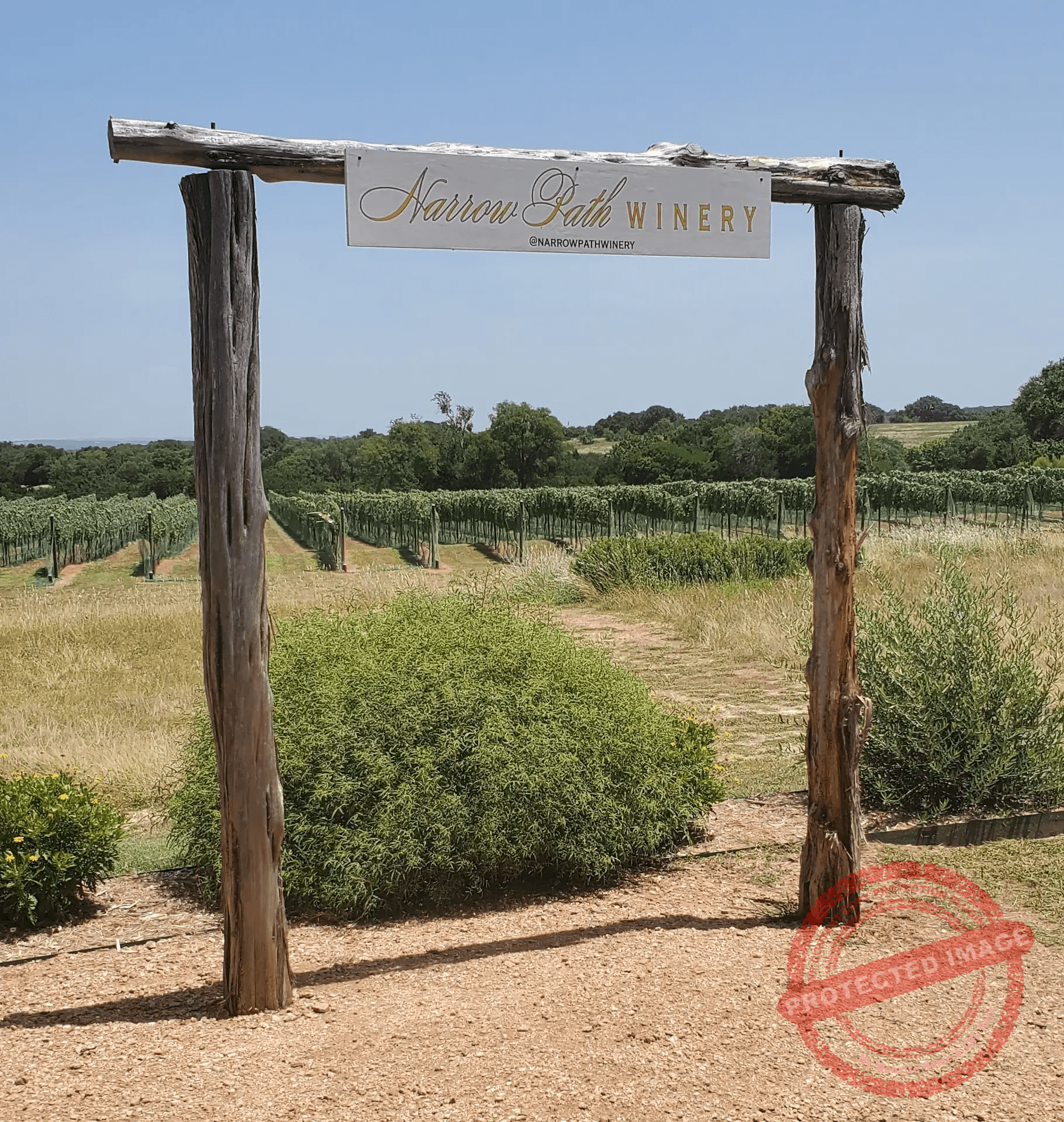 Narrow path winery