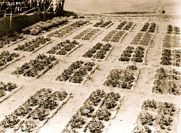 UNITED STATES - CIRCA 1927: Zuni gardens Photo Credit: Buyenlarge/Getty Images