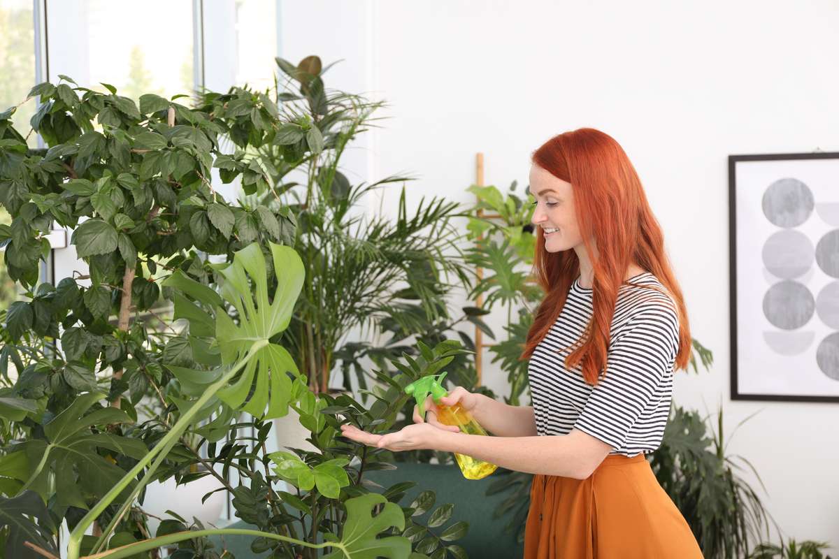 7 Benefits of Having Plants in Your Home