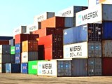 Best Moving Container Companies