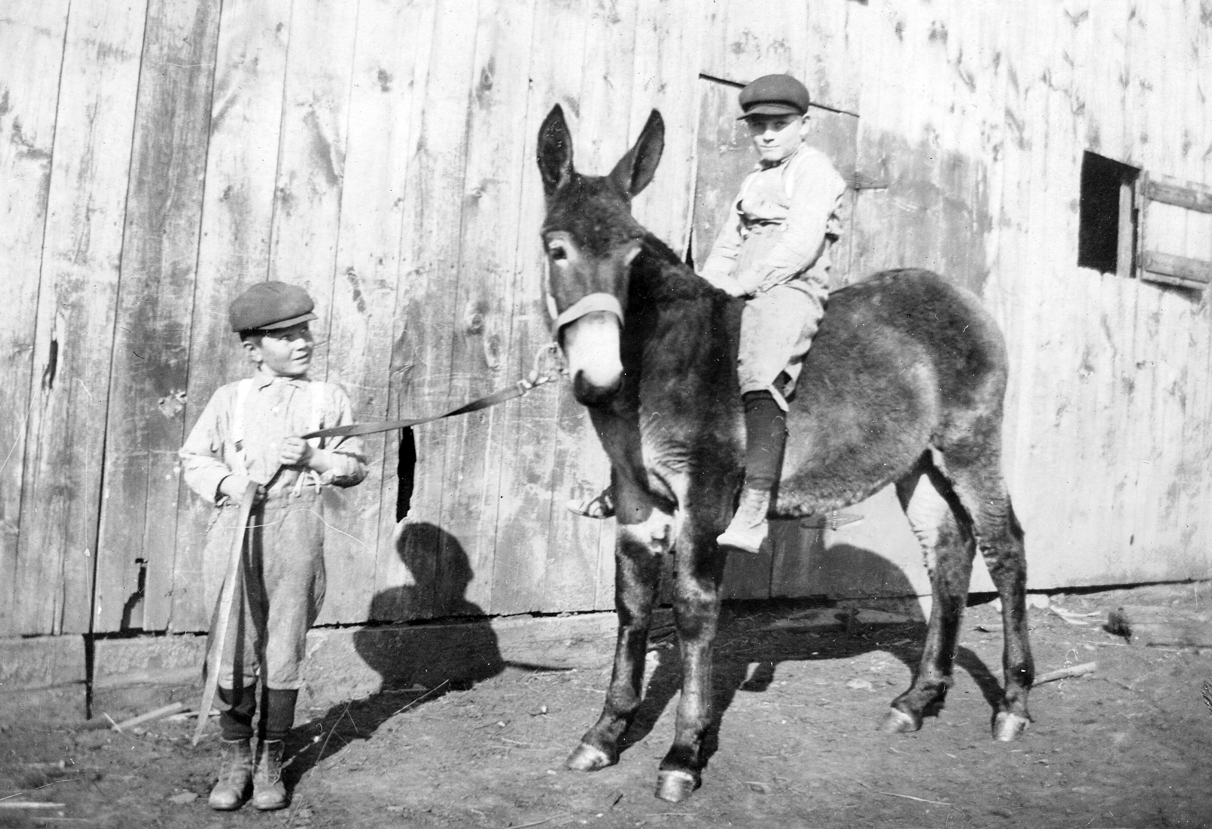 Picture of Three