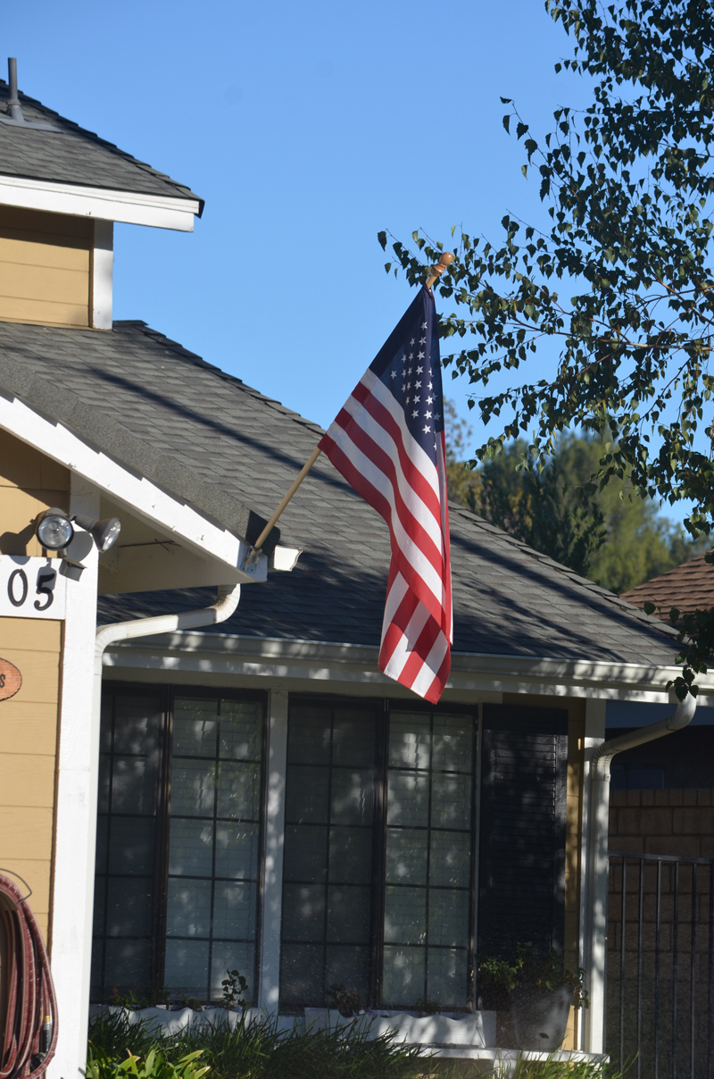 Flag Fail 02