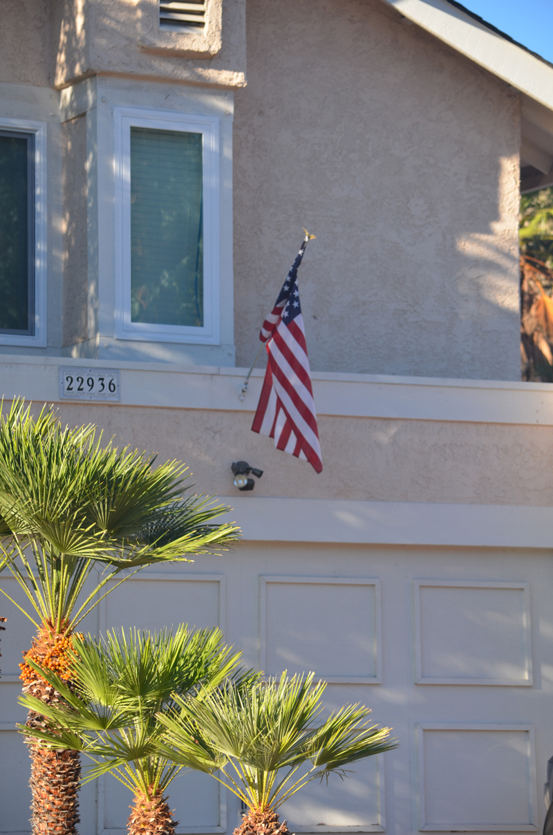 Flag-Fail-08