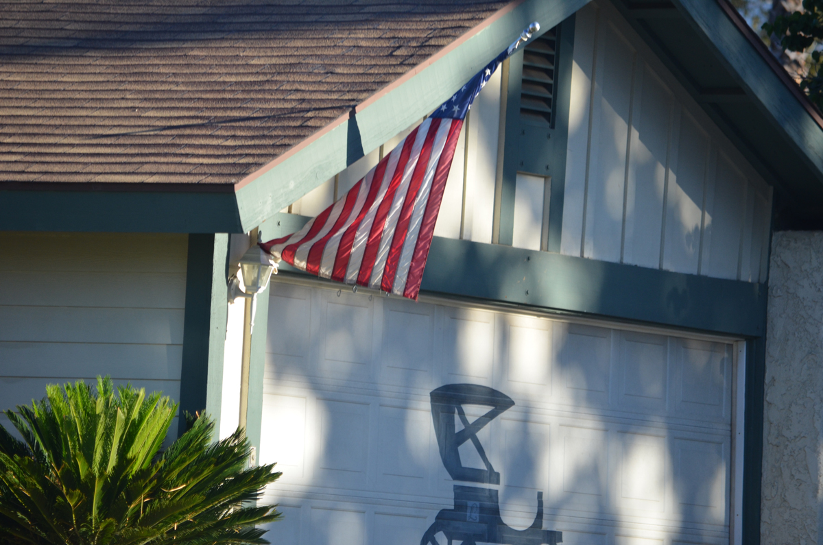 Flag-Fail-10