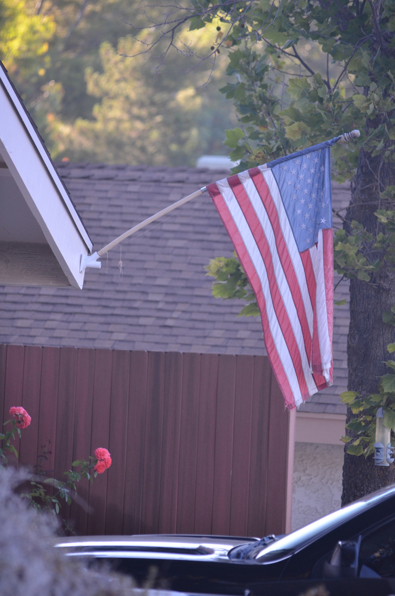 Flag-Fail-12