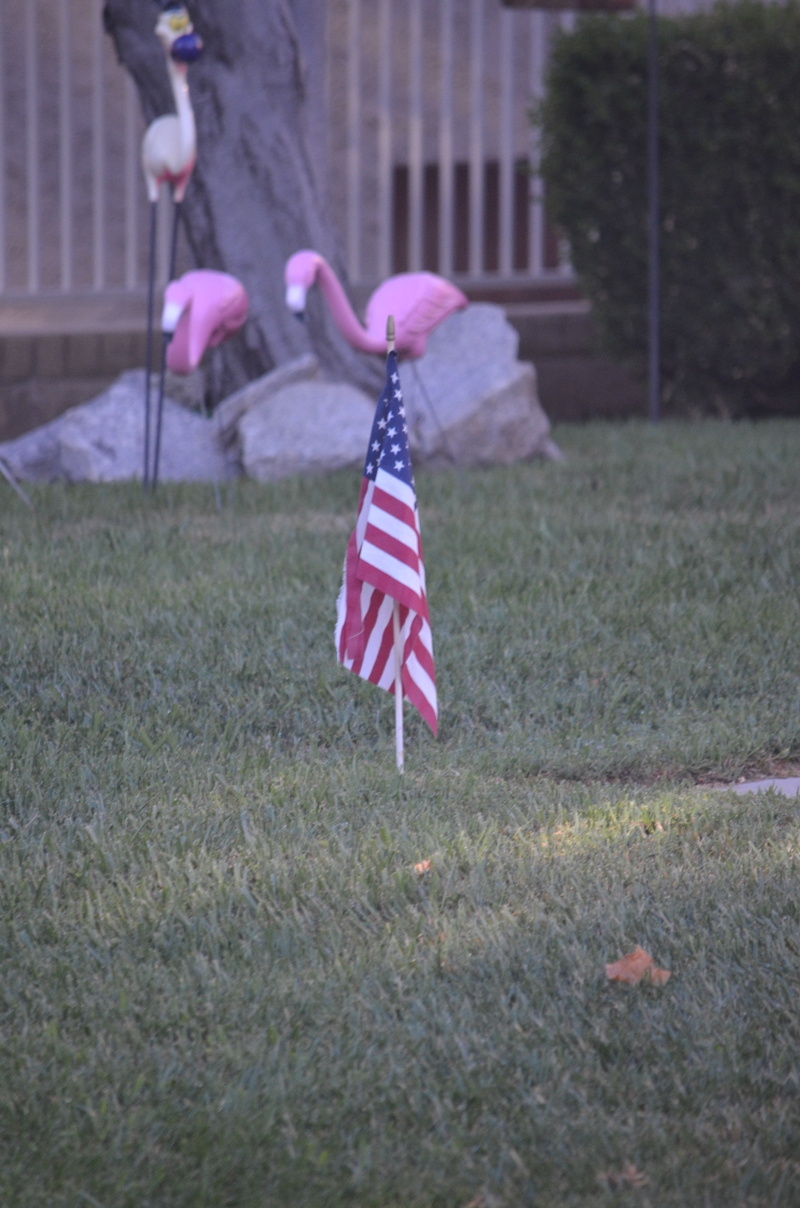 Flag-Fail-13
