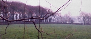 Meeting of Woods