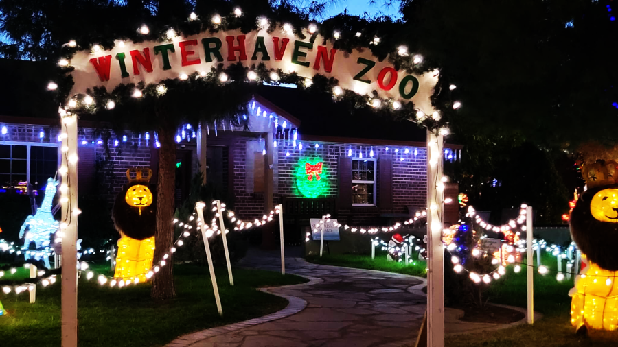 A white sign that reads Winterhaven Zoo in red and green letters frames a flagstone walkway leading to a house decorated in lighted icicles. Two light up lions flank the sides. Winterhaven Festival of Lights in Tucson. MPA Project Travels.