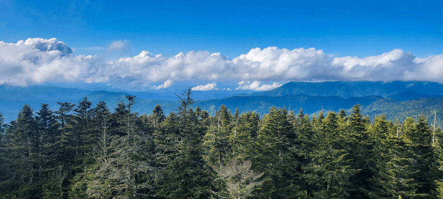 View from the Kuwohi Observation Tower of the surrounding mountains. A scenic view of lush green trees and rolling mountains under a blue sky with white clouds.