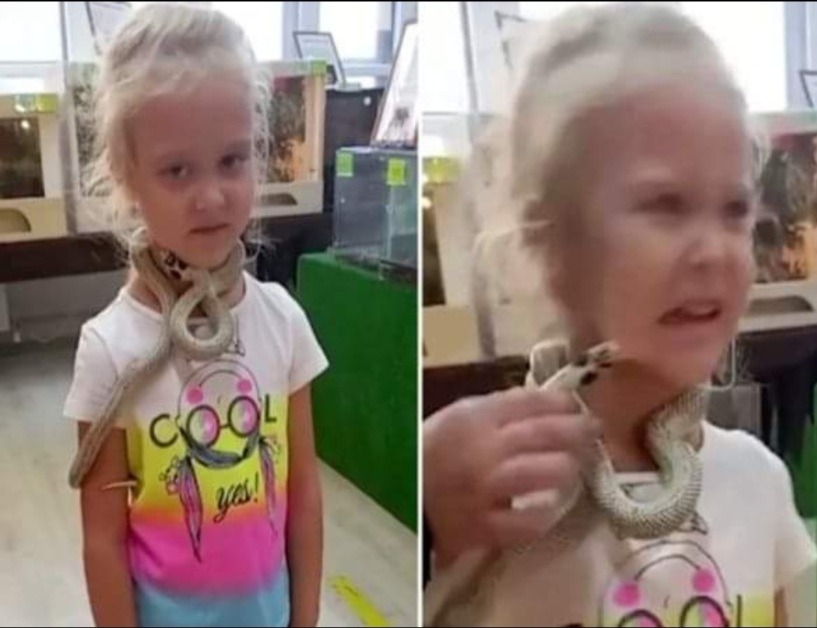 OMG! जू में खेल रही बच्ची को सांप ने चेहरे पर काटा, हो गई मौत, वजह हैरान करने वाली है!