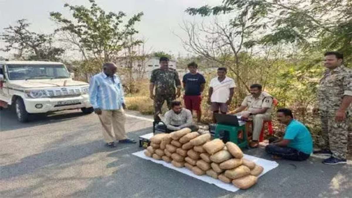 MP के गांजा तस्कर CG में अरेस्ट: 22 लाख के गांजे के साथ नशे के 2 सौदागर गिरफ्तार, जानिए कहां खपाने की थी तैयारी ?