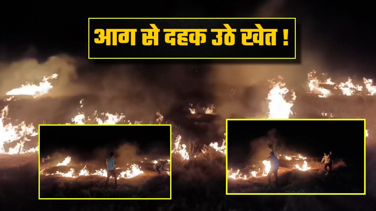 FIRE BREAKING: अन्नदाताओं के खेतों में लगी भीषण आग, 10 एकड़ फसल जलकर राख, देखिए LIVE VIDEO