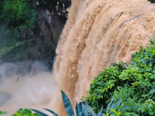 छत्तीसगढ़ के मैनपाट की खूबसूरती का VIDEO: सरगुजा संभाग में झमाझम बारिश से नदी-नाले उफान पर, देखिए LIVE VIDEO