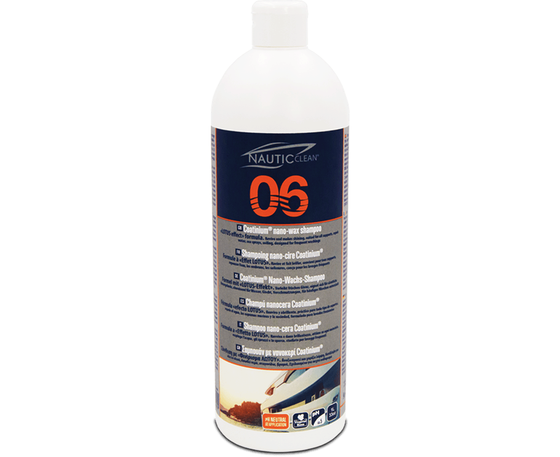 06-web