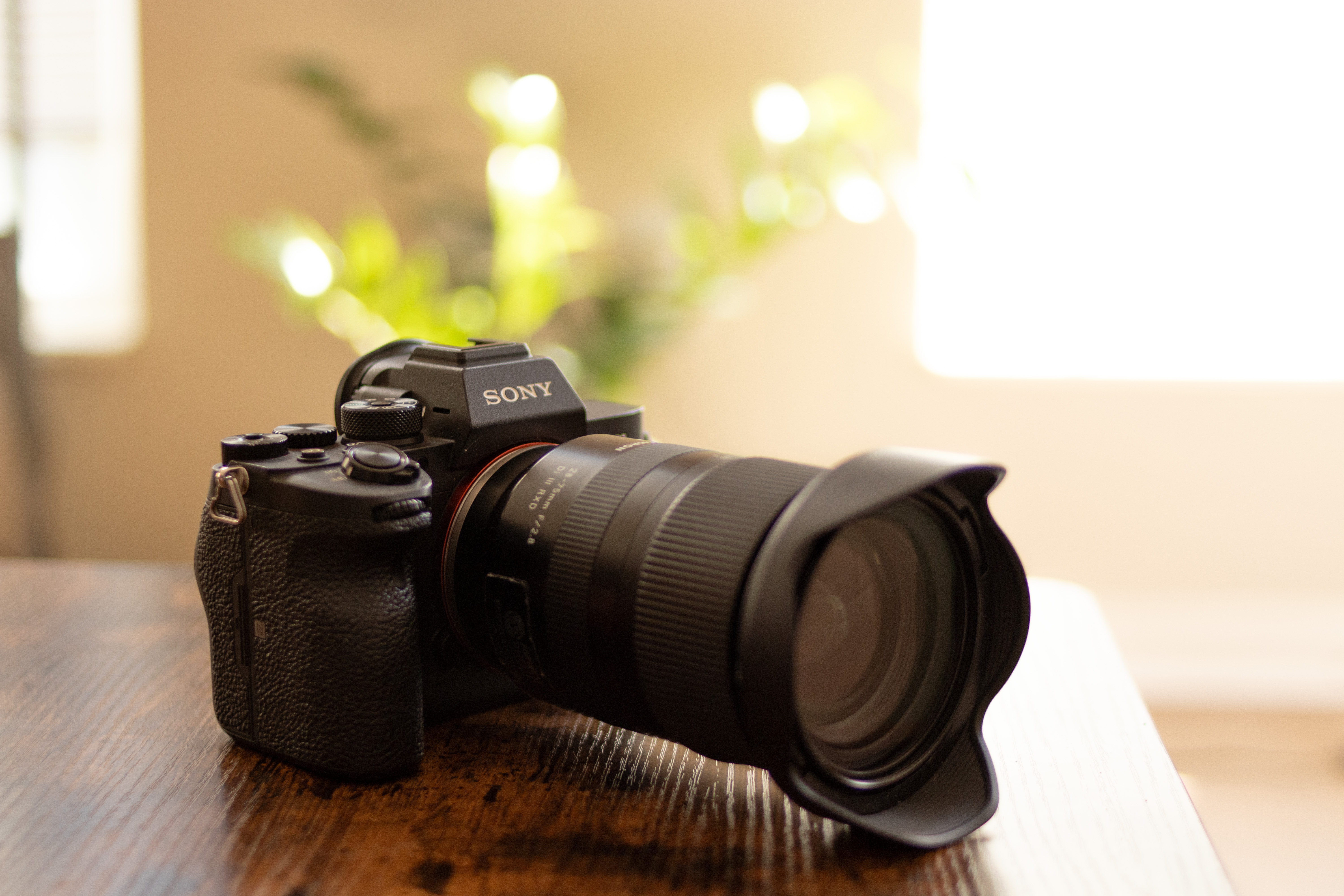 The Tamron 28-75mm Lens: The New 24-70mm? – MPEX Experience