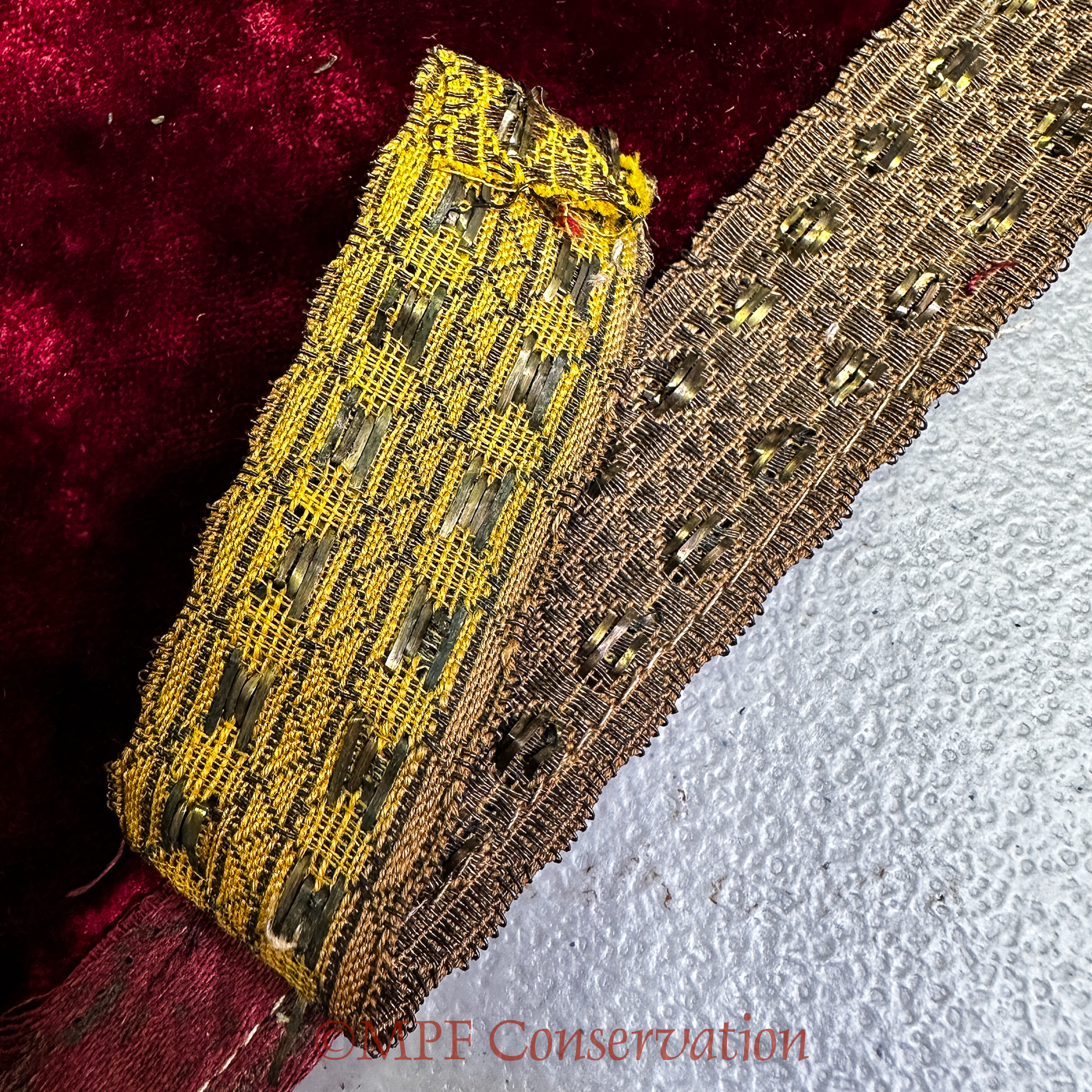The beautiful saffron yellow underside.