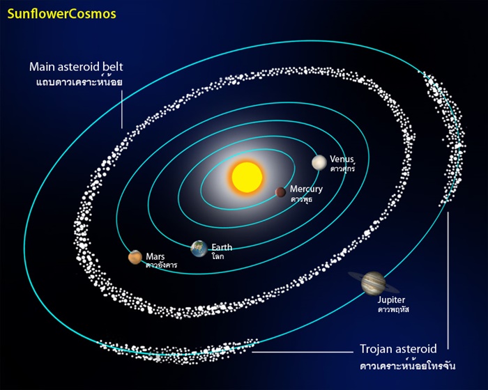 Reference Image