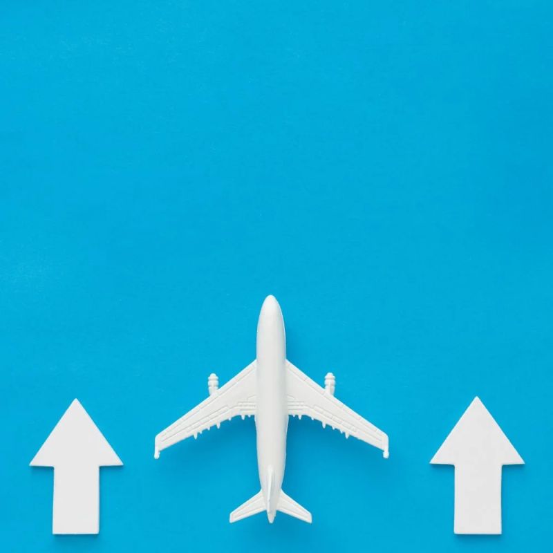 Flight Api Integration Flight Api Provider Flight Ticket Api - Premium Vintage Art Gallery - Desktop