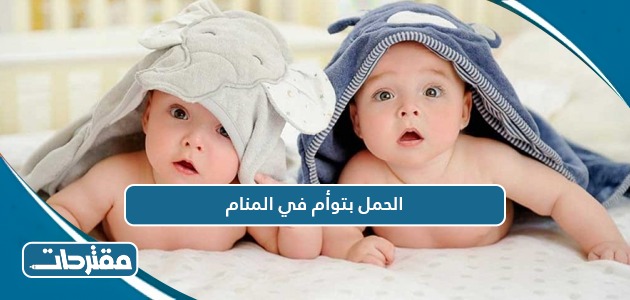 الحمل بتوأم في المنام