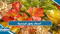 اسماء زهور فرنسية