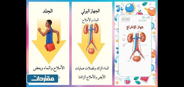 مطويات علوم جاهزة للطباعة