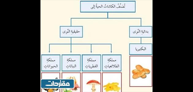 مطويات علوم جاهزة للطباعة