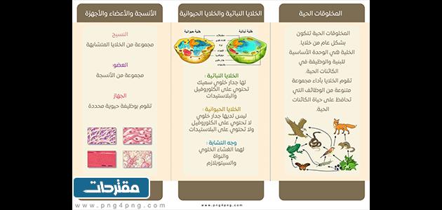مطويات علوم جاهزة للطباعة