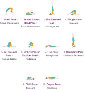 Yoga Kurs Modul Abschlusssequenz