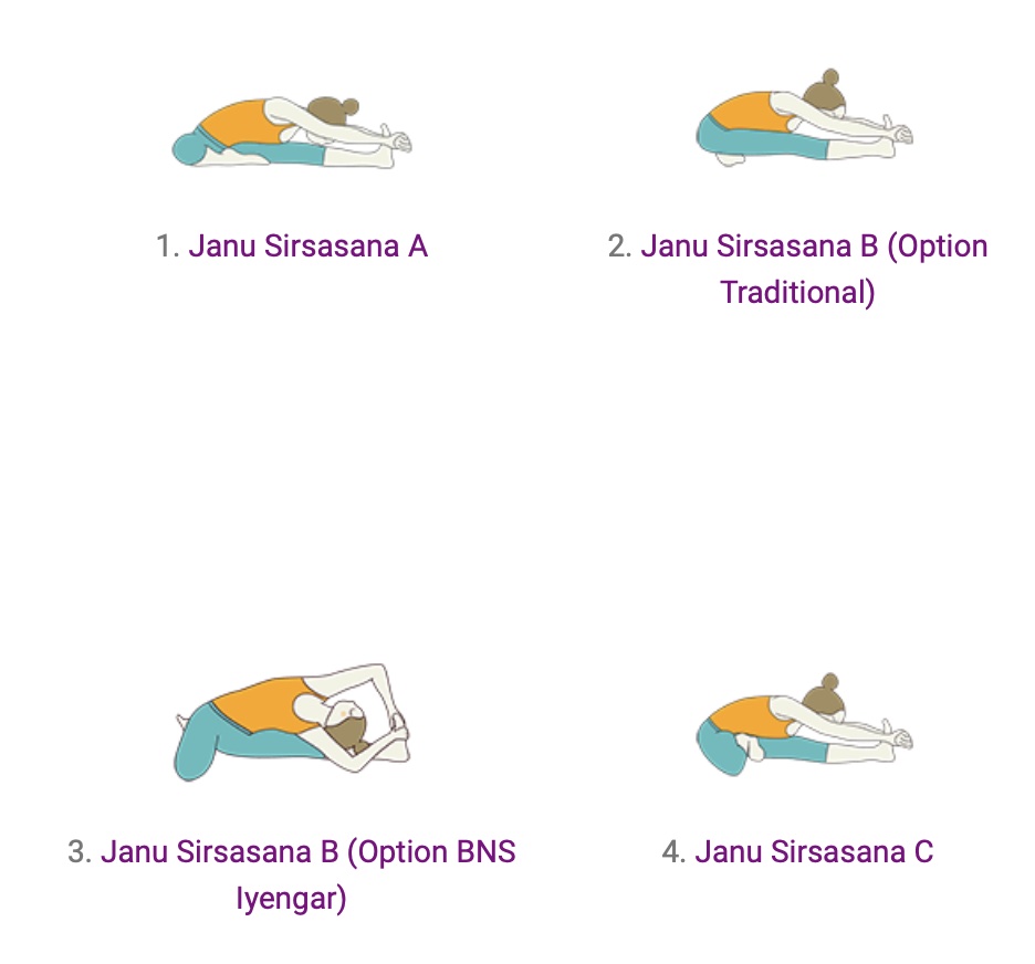 Yoga Kurs Modul Janu Sirsasana Yoga Überlingen