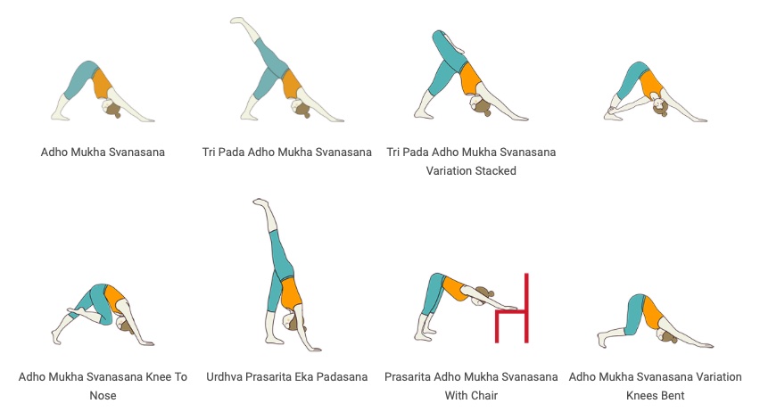 Asana Downward Dog Variationen Adho  Mukha Svanasana Yoga Überlingen am Bodensee
