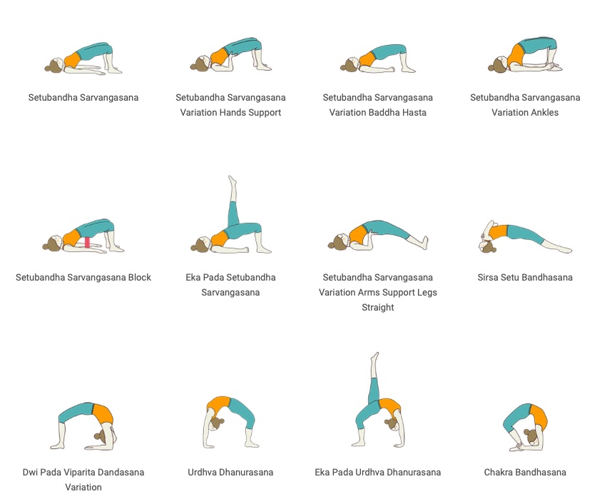 Asana Bridge Pose Asana Setubandha Sarvangasana / Kandharasana Schulter Brücke Yoga Kurse und Retreats Überlingen am Bodensee
