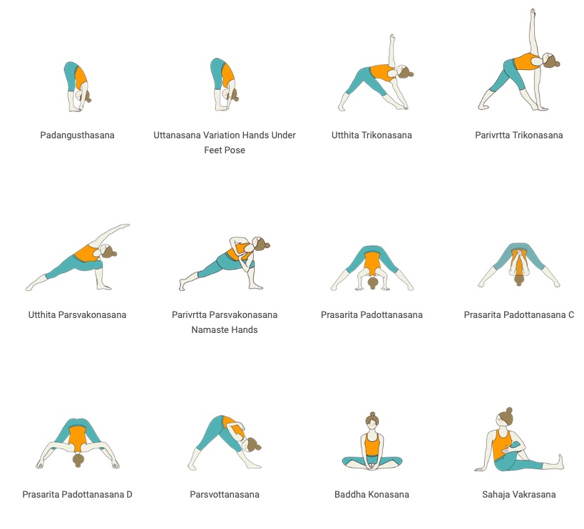 Roots Yoga Module Yoga Praxis 40 Minuten mit Video Überlingen am Bodensee