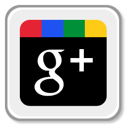 icon google plus 256 x 256 Pixels
