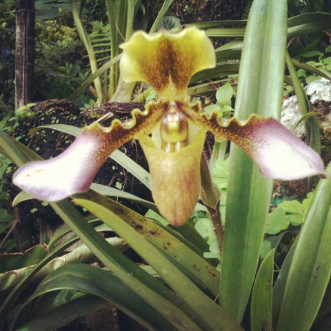 20120601-075737.jpg