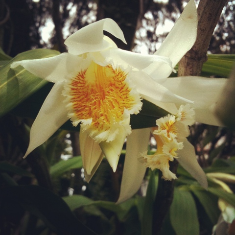 20120601-075749.jpg
